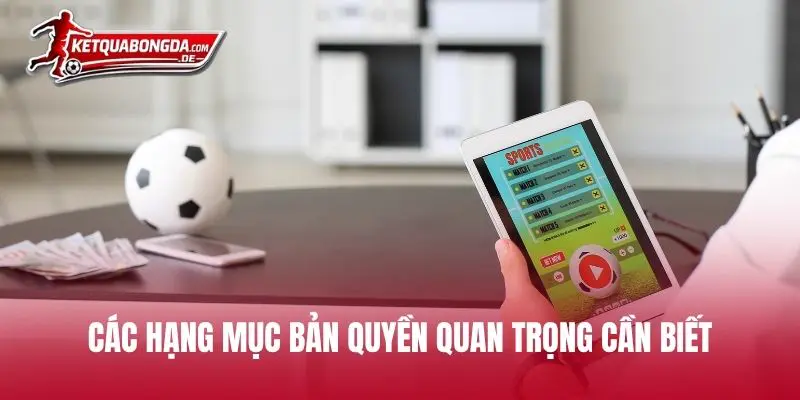 Các hạng mục bản quyền quan trọng cần biết