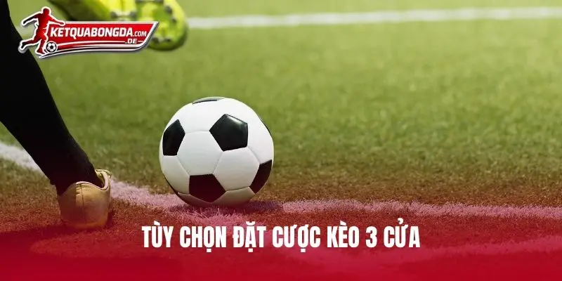 Tùy chọn đặt cược kèo 3 cửa