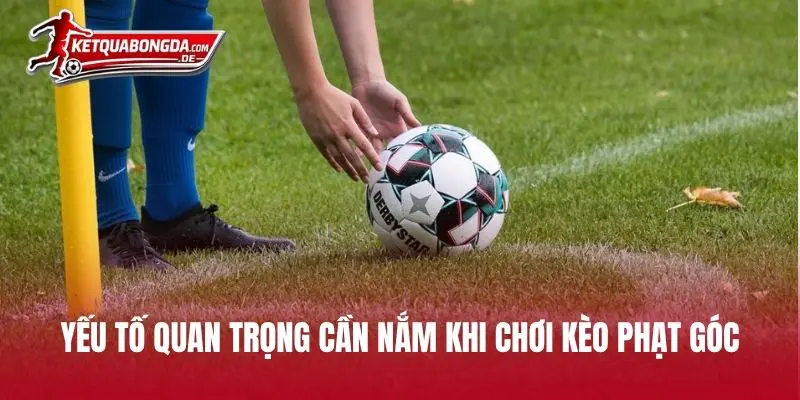Yếu tố quan trọng cần nắm khi chơi kèo phạt góc
